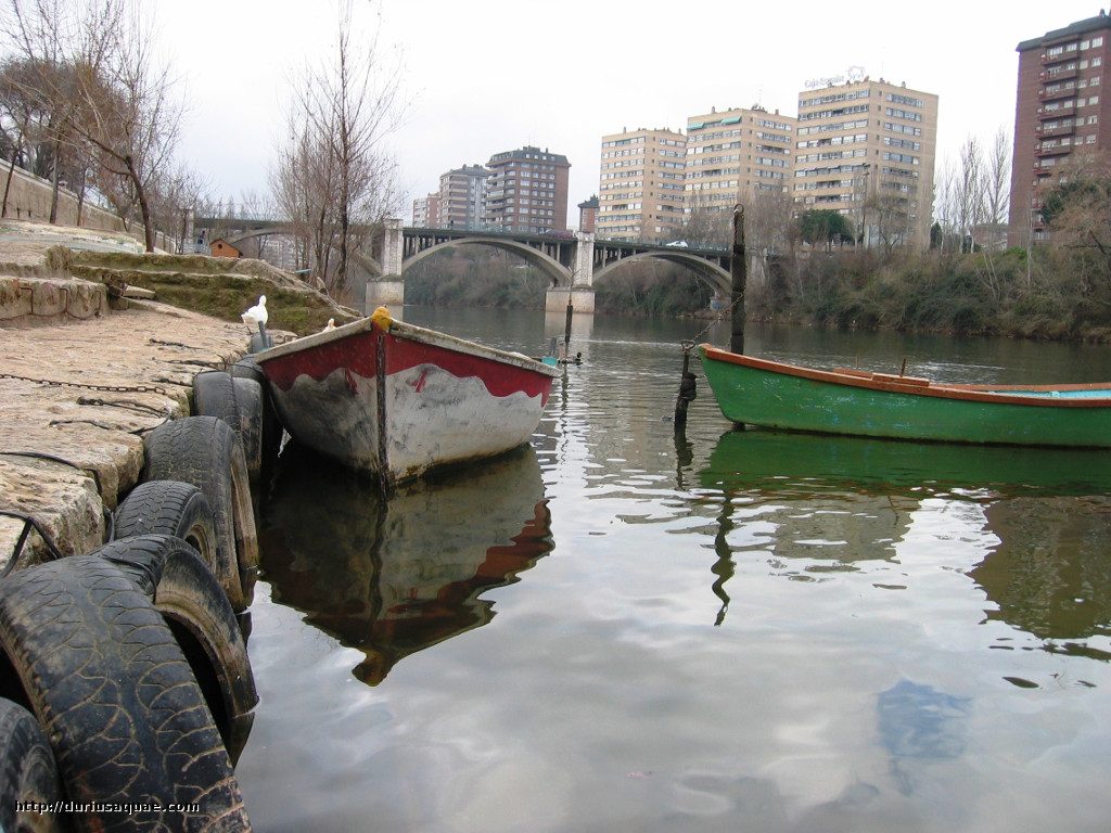 Durius Aquae, barcas en el Pisuerga