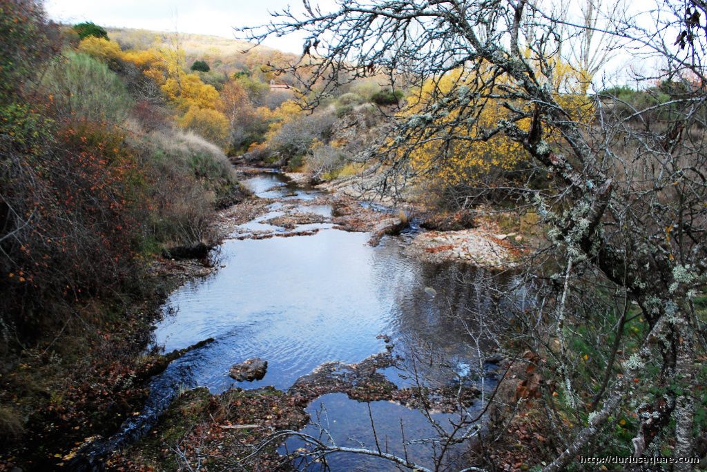 Durius Aquae, Pineda de la Sierra, río Arlanzón Durius Aquae, Pineda de la Sierra, río Arlanzón