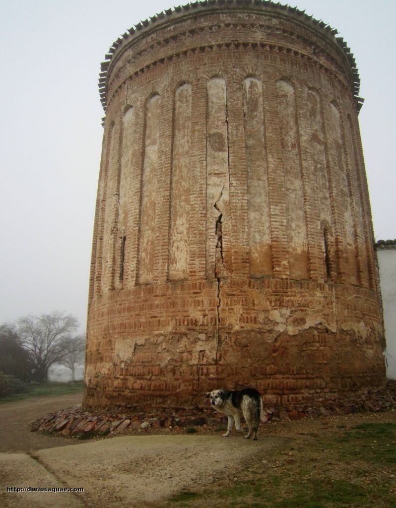 Durius Aquae, Torre Duero