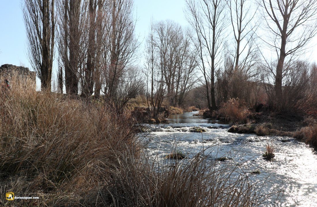 Río Arandilla desde el molino de la Concha