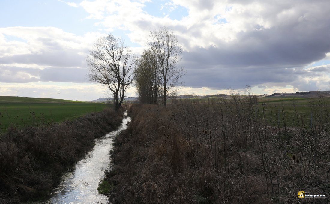 El río Hornija