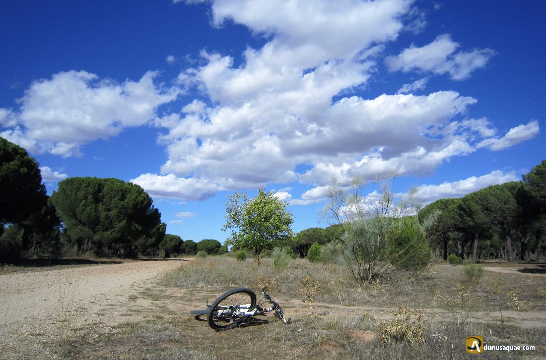 Ciudades Por Donde Pasa El Rio Duero Aprovechando que el Duero pasa por Valladolid… - Durius Aquæ