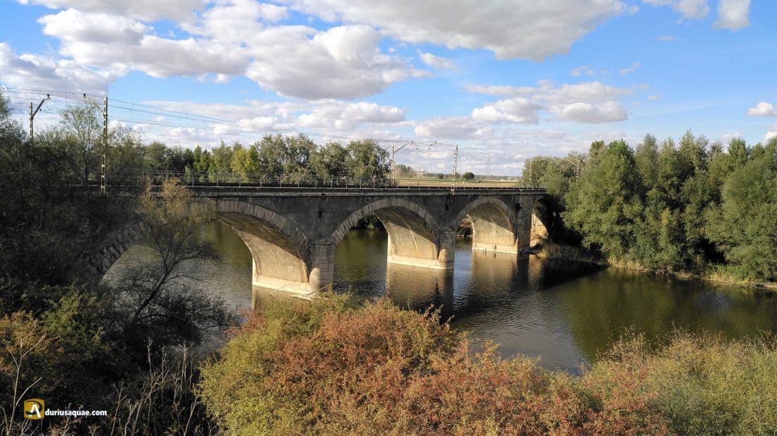 Puente ferroviario Príncipe Alfonso, sobre el Pisuerga.