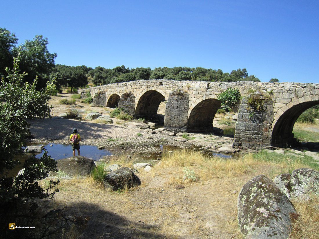 Durius Aquae: El Puente Mocho