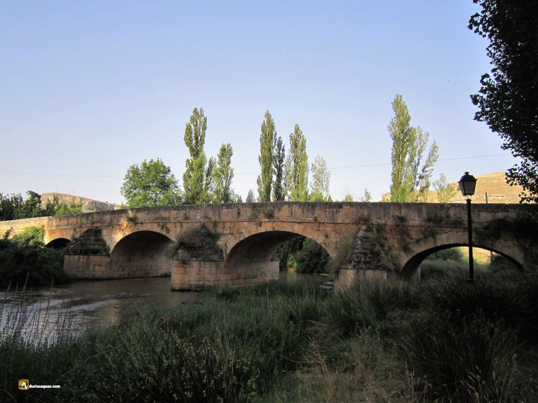 Durius Aquae: Hermoso puente de Montejo, sobre el Riaza