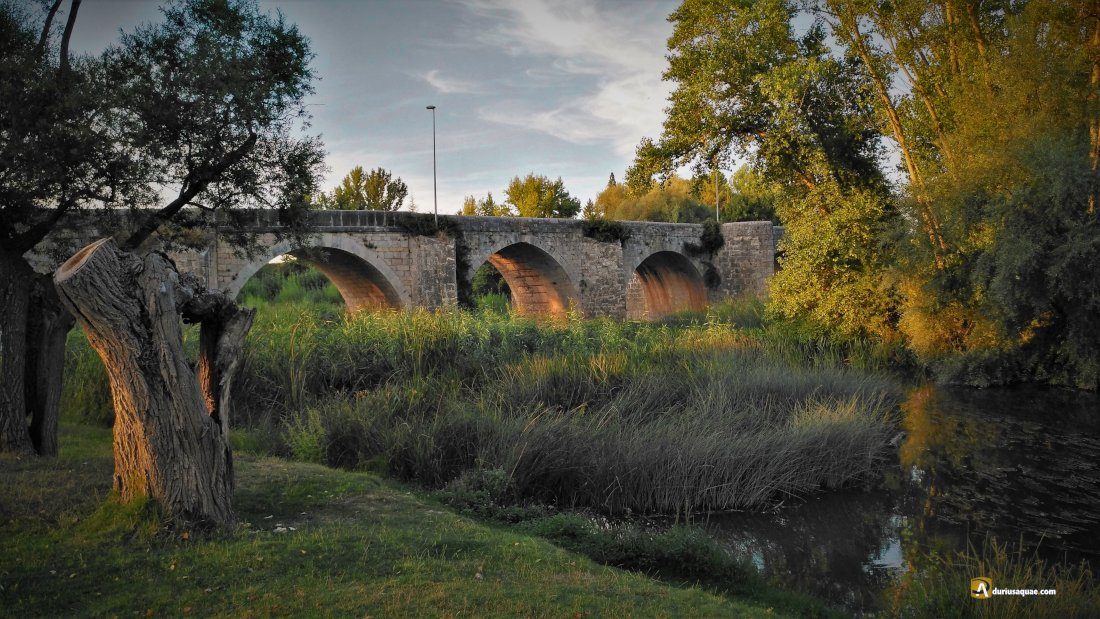 Durius Aquae: Tariego de Cerrato puente sobre el Pisuerga