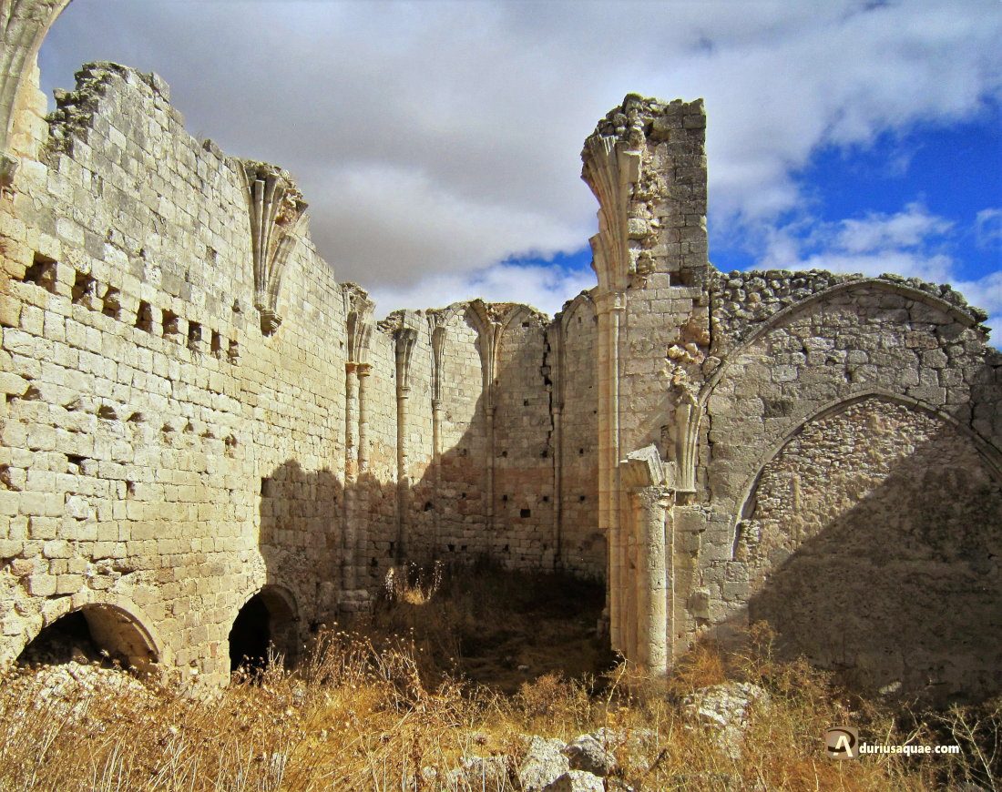 Durius Aquae: Ruinas del monasterio de la Virgen de los Valles