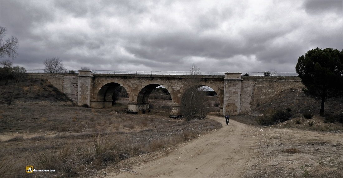 Durius Aquae: El puente del Ferrocarril a Zamora por el que un tren pasa aún cada día