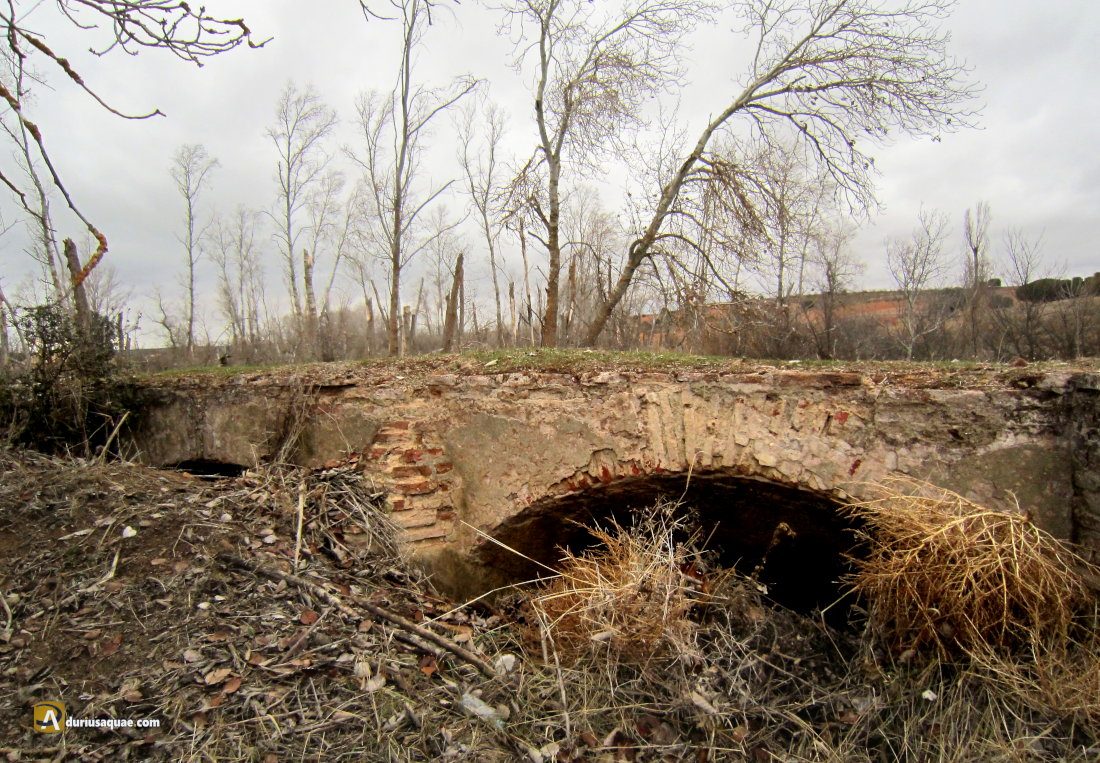 Durius Aquae: restos sepultados del molino del Anís o del Trabancos