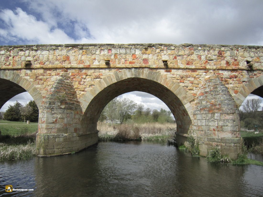 Durius Aquae: Eterno y colorido Puente Romano