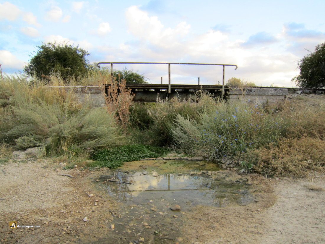 Quintanilla de Arriba: Puentecillo del ferrocarril sobre el arroyo del Pozo