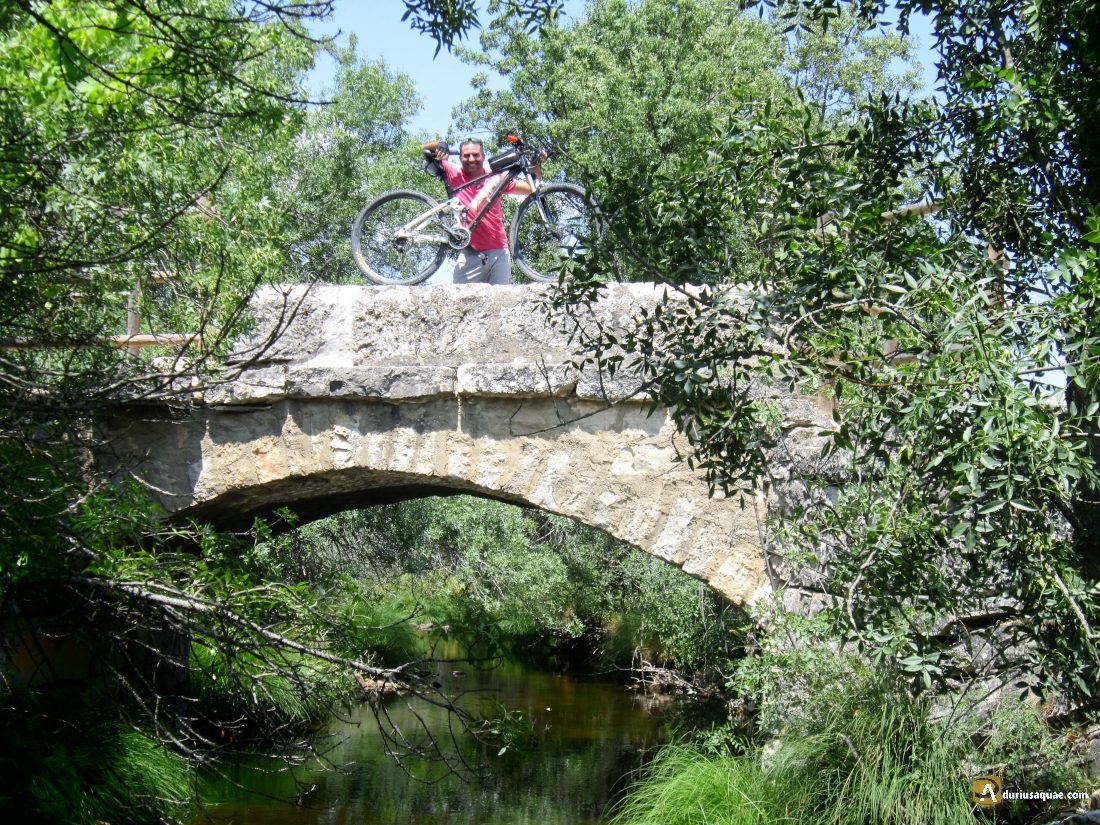 Durius Aquae: puente sobre el Cega Torre Val de San Pedro