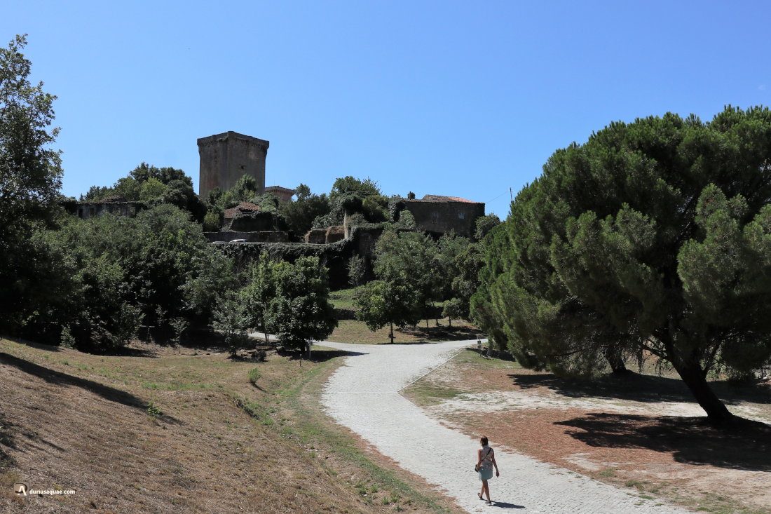 Durius Aquae: Castillo de Monterrei