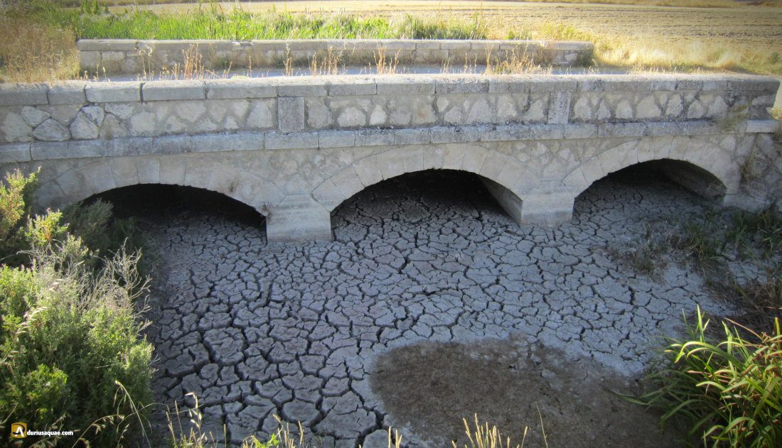 Durius Aquae: arroyo del Henar en San Miguel
