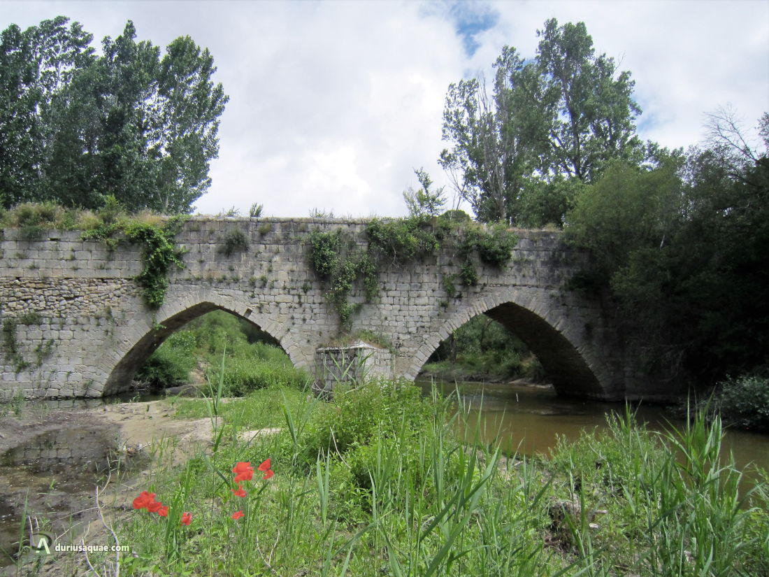 Puente Mediana