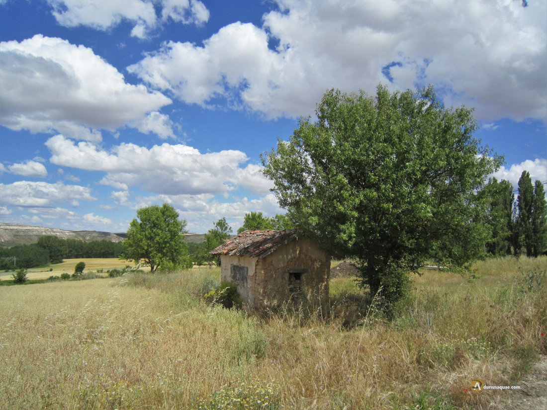 Durius Aqaue: Cañada en Fuentemolinos