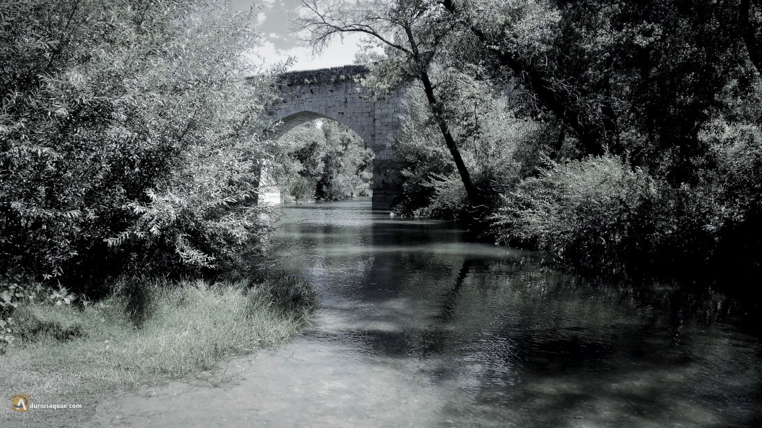 Puente Duero