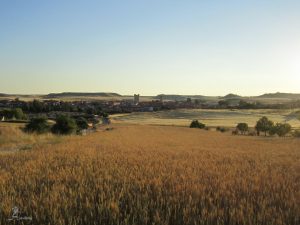 Fuensaldaña desde "La Cuesta"
