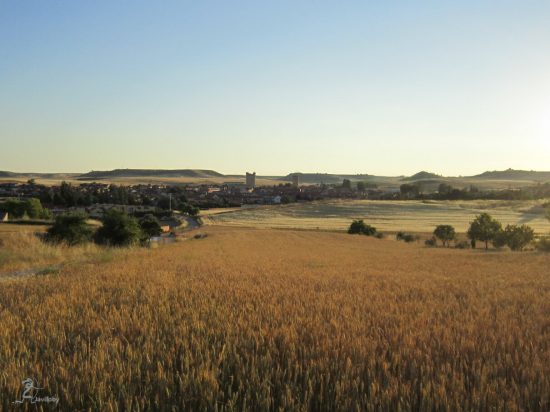 Fuensaldaña desde "La Cuesta"