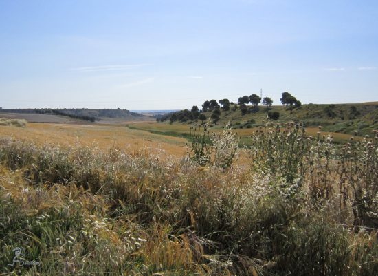 Arroyo Pozo Moza en Fuensaldaña