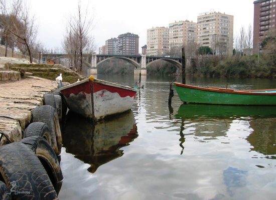 Pisuerga en invierno