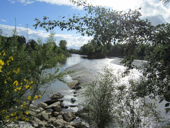 El Pisuerga por Valladolid