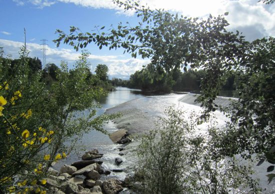 Azud en el Pisuerga, Valladolid