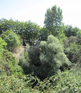 Puente Berrocal