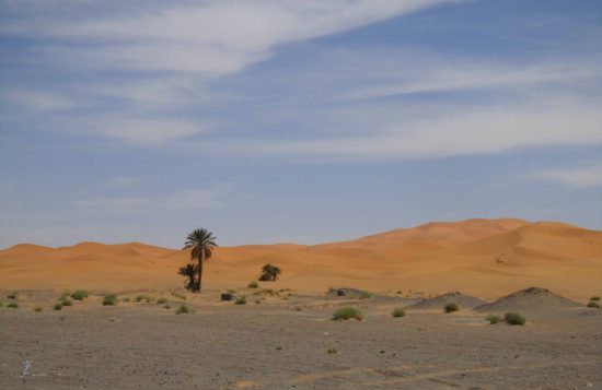 El Sahara a mediodia