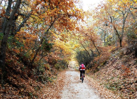 Carril bici de la Sierra de la Demanda