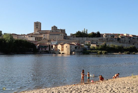Playa de Zamora