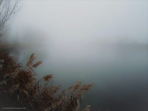 Niebla en el río Duero. Tordesillas