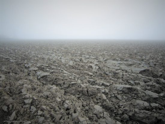 Campos arados en invierno. Vega de Tordesillas