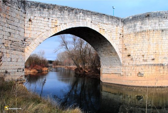 Durius Aquae: Puente de Puenteduero