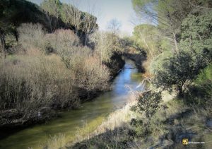 Río Cega
