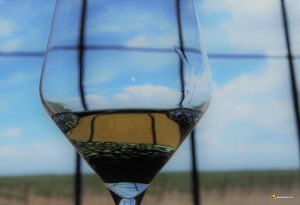 Durius Aquae: Río de alegría que nos une