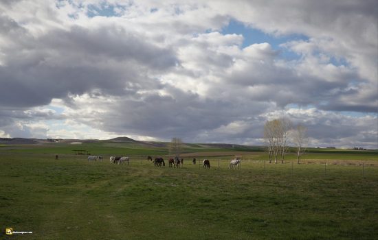 Valladolid, Valle del Hornija
