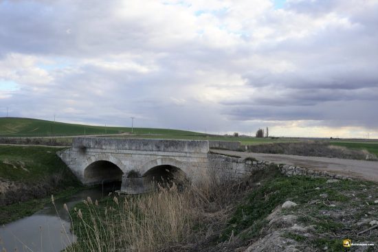 Campo del Fierro desde el río Hornija. Valladolid