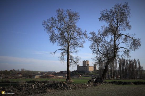 Torrelobatón, junto al Hornija