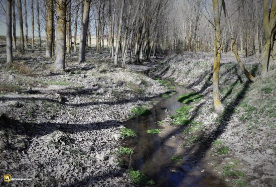 Nacimiento del Hornija