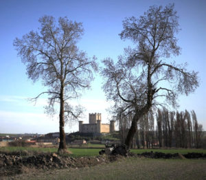 Castillo de Torrelobatón desde el río Hornija. Valladolid