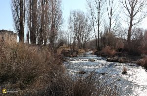 Río Arandilla