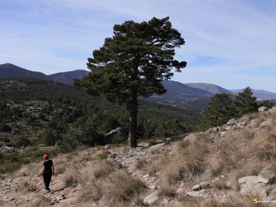 Sierra de Madrid y Segovia