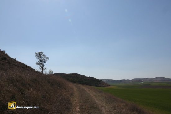 Peñafiel, Valladolid. Cerro de Pajares