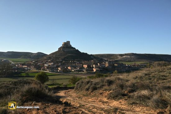 Curiel de Duero