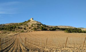sol de invierno en Pesquera de Duero