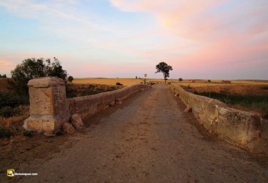 Durius Aquae: Puente en Tierra de Campos