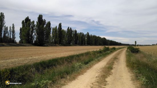 Durius Aquae: Arroyo de los Templarios, afluente del Sequillo