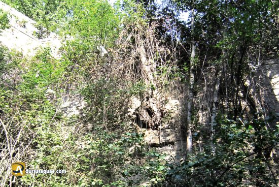 Árbol creciendo entre las piedras del acueducto