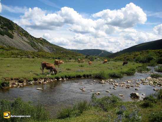 El valle de Pineda. Palencia